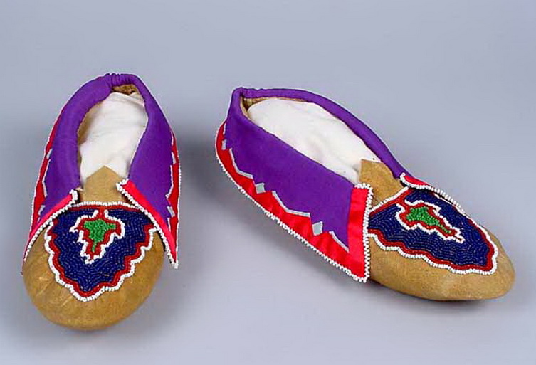 Associated image for entry 'a Delaware moccasin'