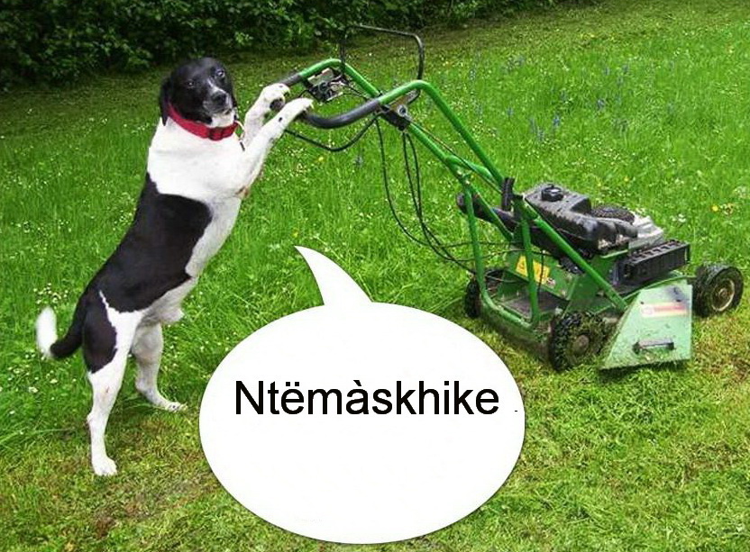 Associated image for entry 'I cut grass; I mow'